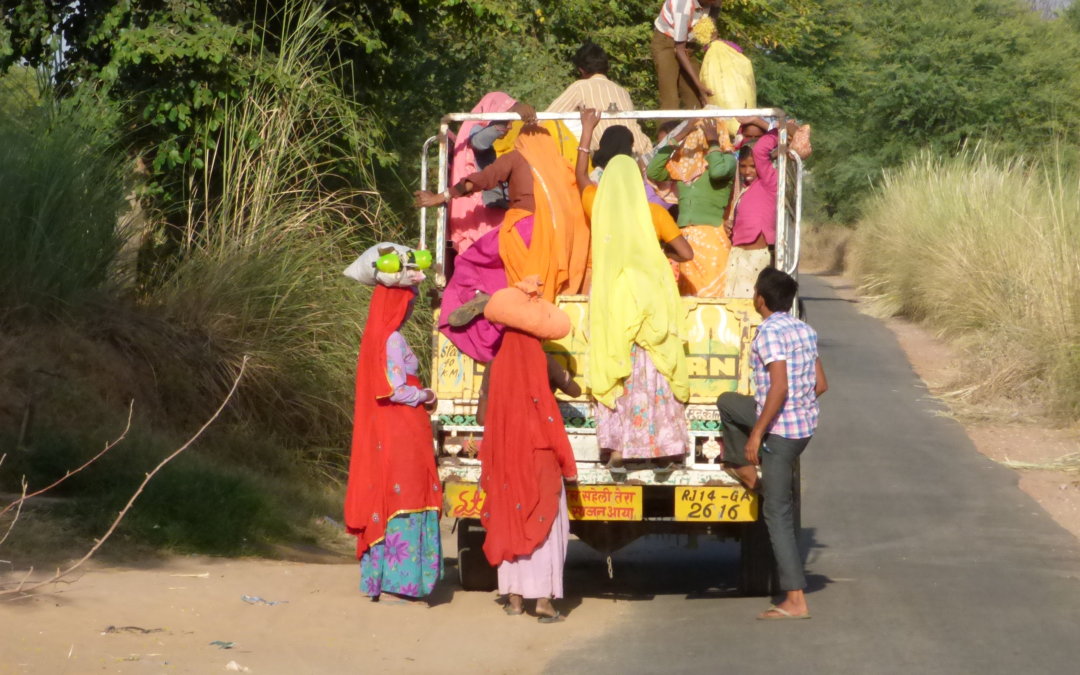 INDE; Épices, Vélo et Vaches Sacrées