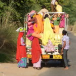 INDE; Épices, Vélo et Vaches Sacrées